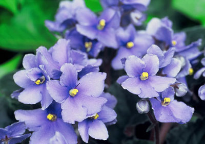 �΂��L�@��z�P�[�u���e���r��