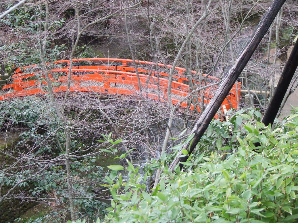 �΂��L�@��z�P�[�u���e���r��