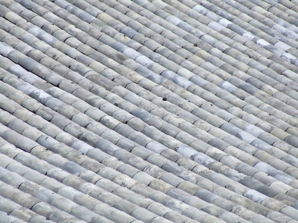 �΂��L�@��z�P�[�u���e���r��