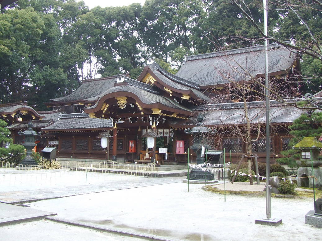 �΂��L�@��z�P�[�u���e���r��