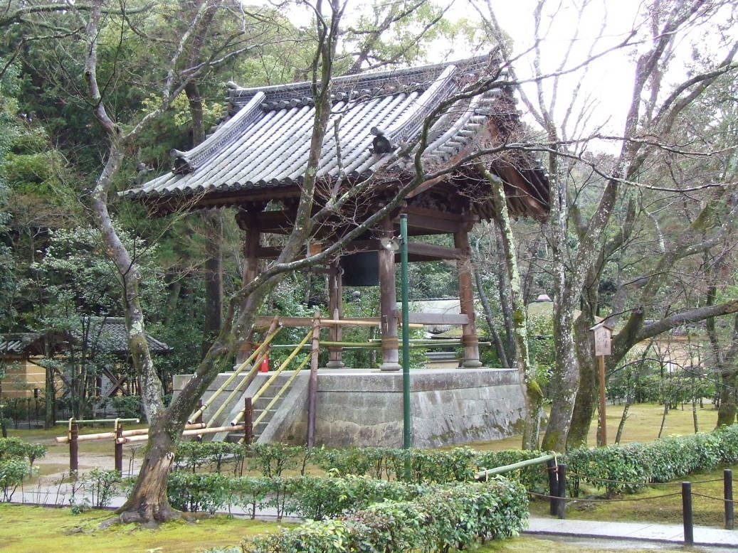 �΂��L�@��z�P�[�u���e���r��