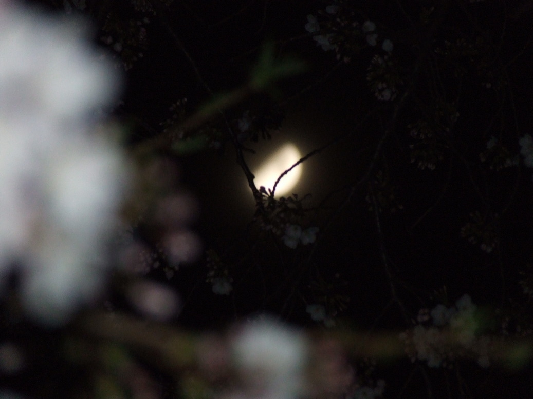 �΂��L�@��z�P�[�u���e���r��