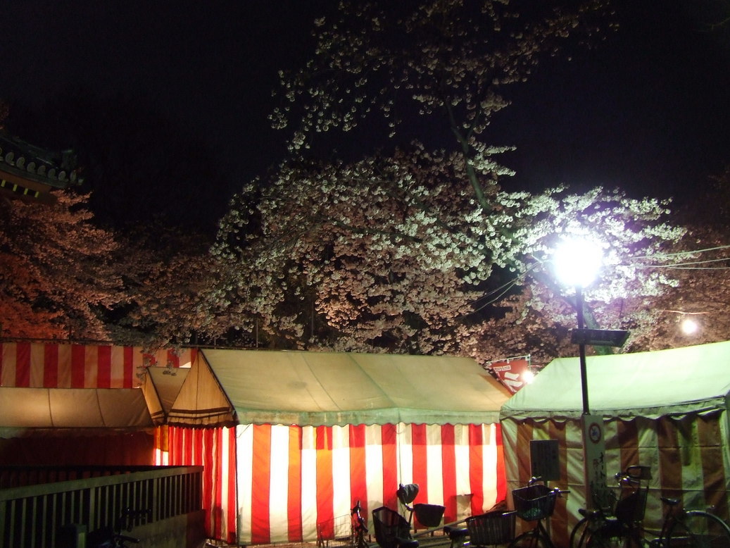 �΂��L�@��z�P�[�u���e���r��