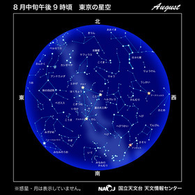 �΂��L�@��z�P�[�u���e���r��