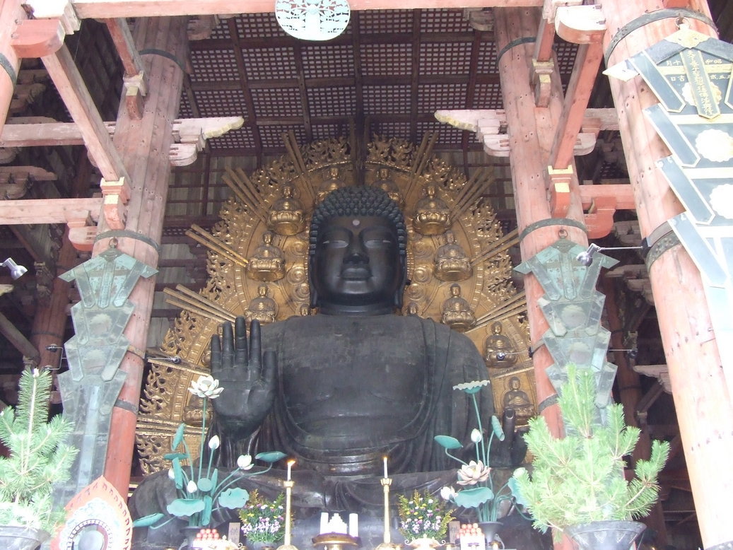 �΂��L�@��z�P�[�u���e���r��