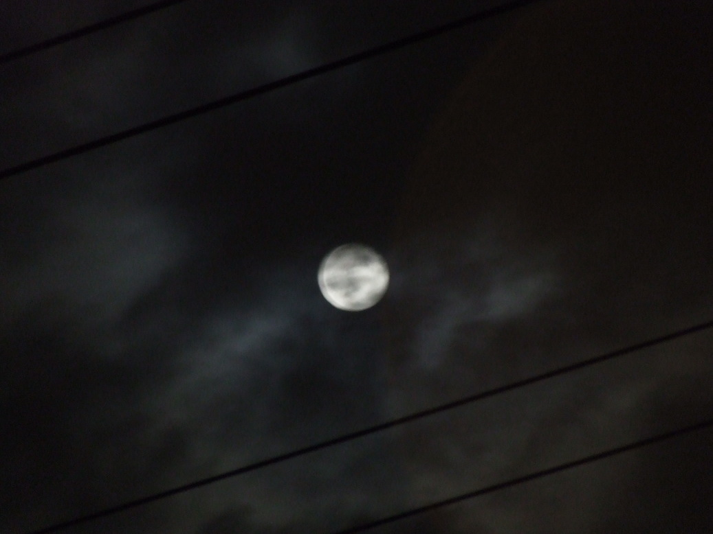 �΂��L�@��z�P�[�u���e���r��