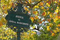 �΂��L�@��z�P�[�u���e���r��