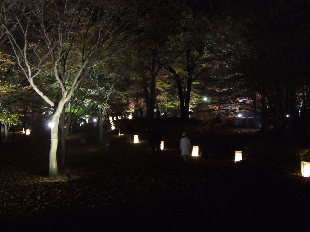 �΂��L�@��z�P�[�u���e���r��