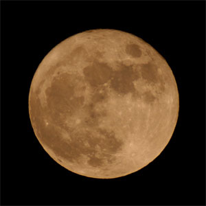 �΂��L�@��z�P�[�u���e���r��