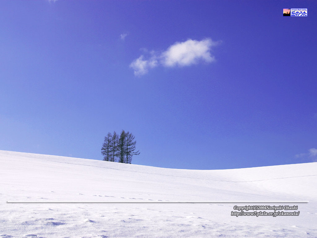 �΂��L�@��z�P�[�u���e���r��