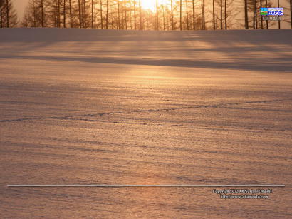 �΂��L�@��z�P�[�u���e���r��