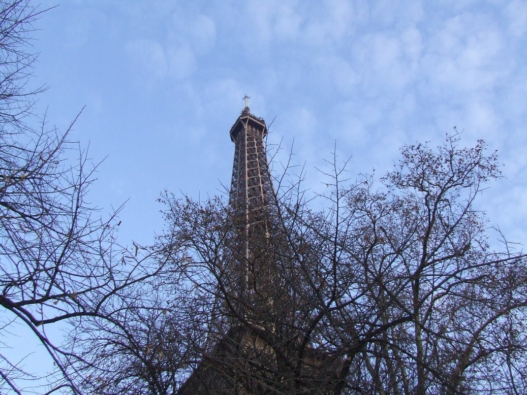 �΂��L�@��z�P�[�u���e���r��