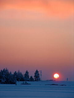 �΂��L�@��z�P�[�u���e���r��