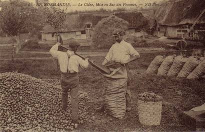 �΂��L�@��z�P�[�u���e���r��