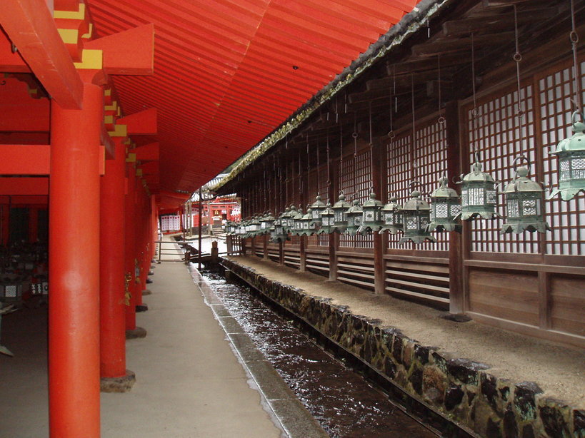 �΂��L�@��z�P�[�u���e���r��