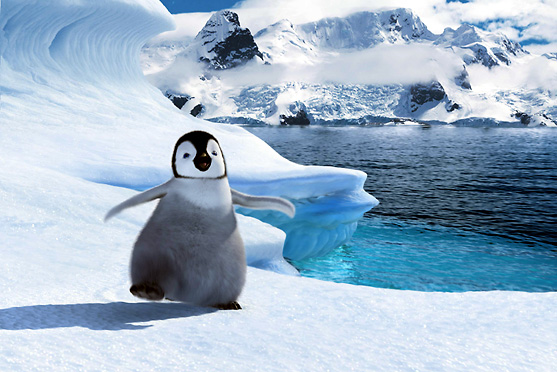 �΂��L�@��z�P�[�u���e���r��