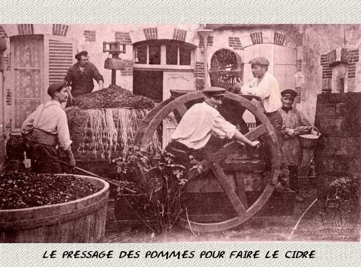 �΂��L�@��z�P�[�u���e���r��