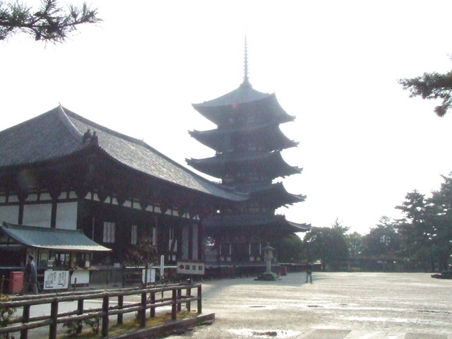 �΂��L�@��z�P�[�u���e���r��