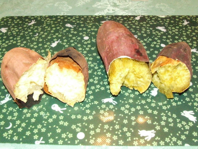 �΂��L�@��z�P�[�u���e���r��