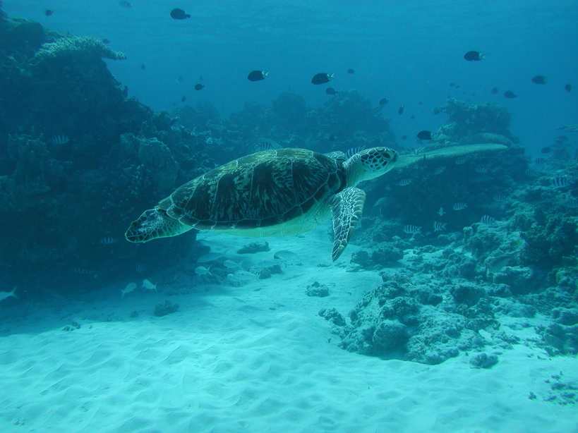 �Đl�`���߂񂿂�` �j���[�X