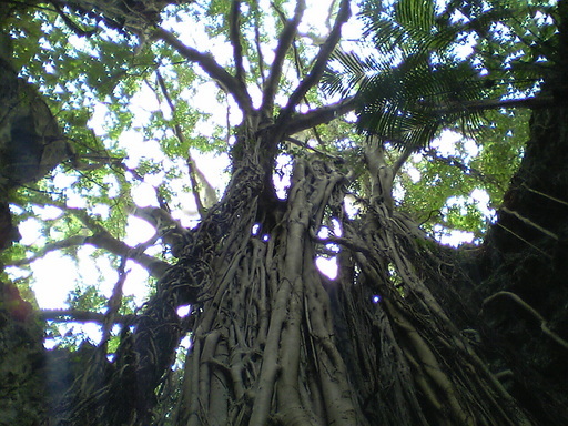 �Đl�`���߂񂿂�` �j���[�X