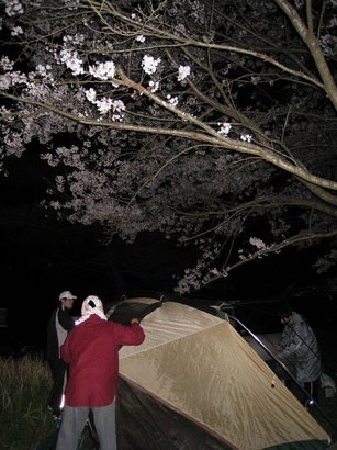 �Đl�`���߂񂿂�` �j���[�X