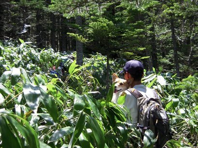 �Đl�`���߂񂿂�` �j���[�X