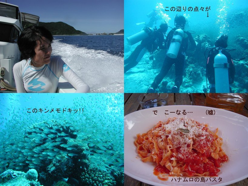 �Đl�`���߂񂿂�` �j���[�X