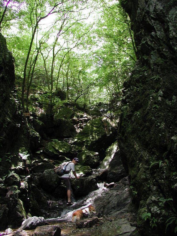 �Đl�`���߂񂿂�` �j���[�X