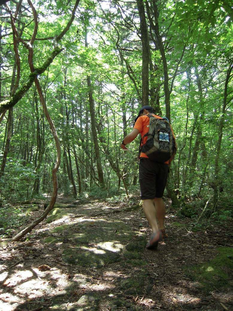 �Đl�`���߂񂿂�` �j���[�X