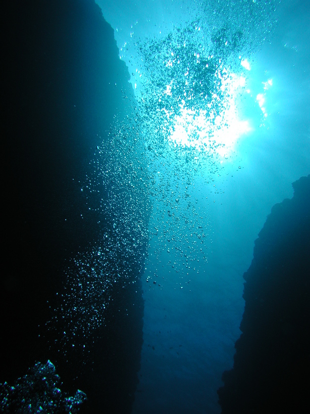 �Đl�`���߂񂿂�` �j���[�X