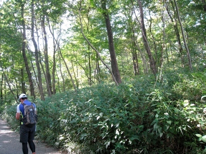 �Đl�`���߂񂿂�` �j���[�X