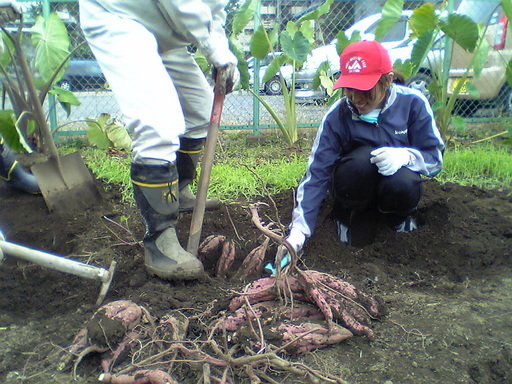 �Đl�`���߂񂿂�` �j���[�X