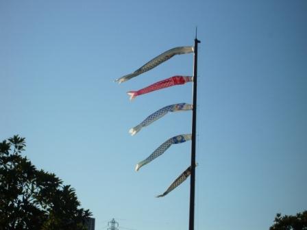 �Đl�`���߂񂿂�` �j���[�X