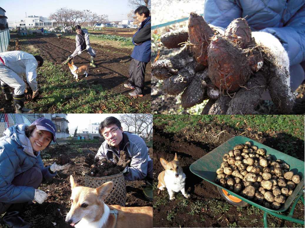 �Đl�`���߂񂿂�` �j���[�X