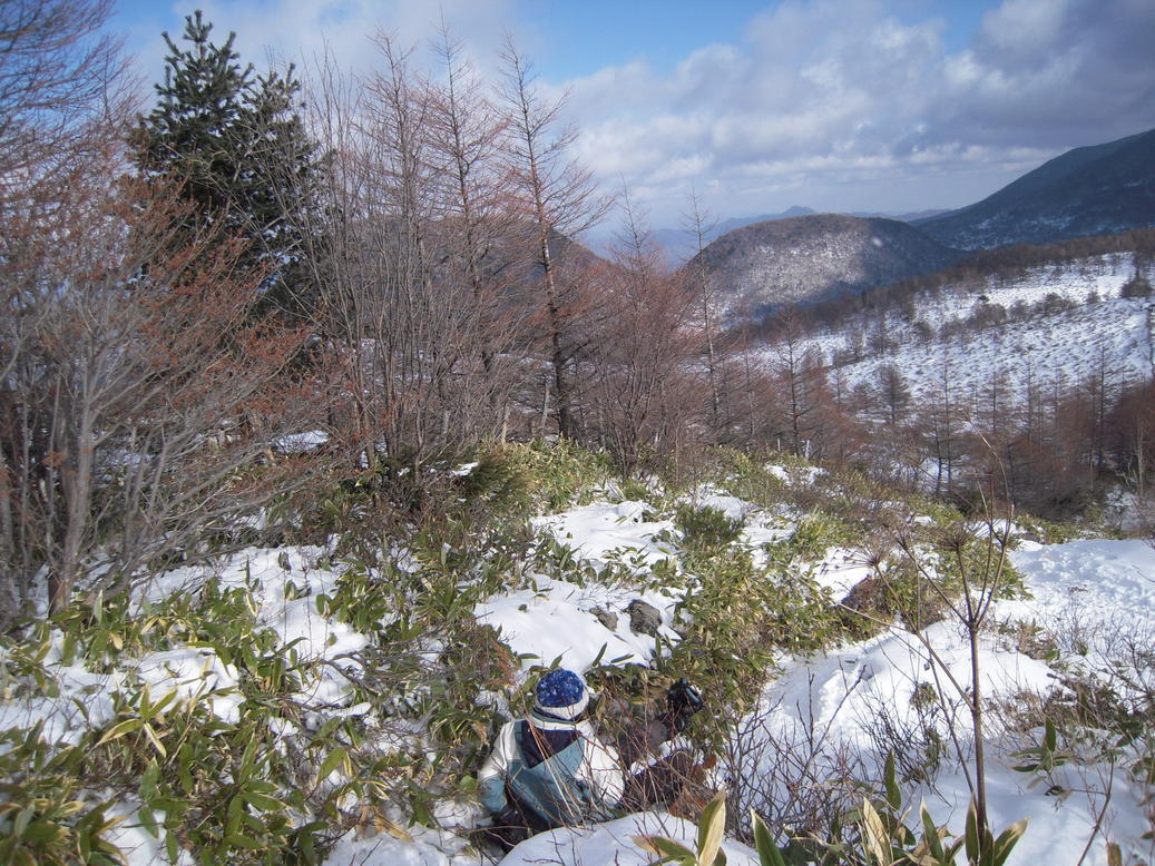 �Đl�`���߂񂿂�` �j���[�X