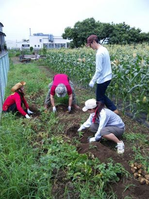 �Đl�`���߂񂿂�` �j���[�X