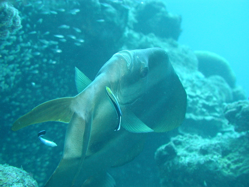 �Đl�`���߂񂿂�` �j���[�X