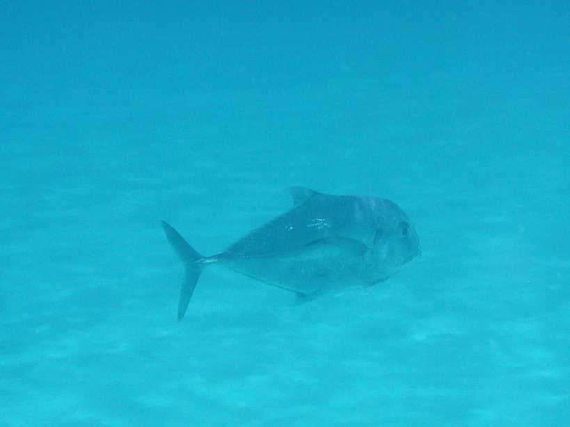 �Đl�`���߂񂿂�` �j���[�X