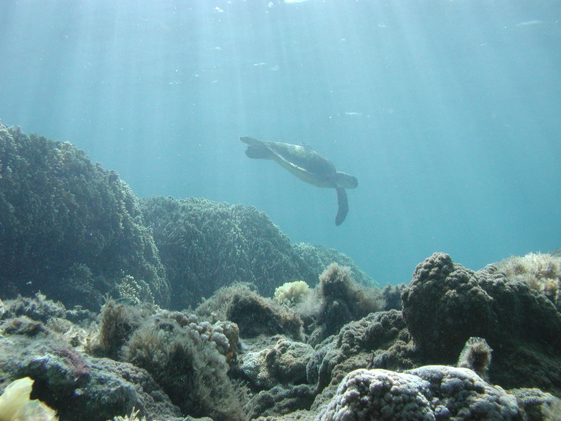 �Đl�`���߂񂿂�` �j���[�X