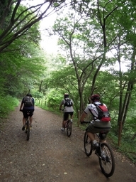 �Đl�`���߂񂿂�` �j���[�X