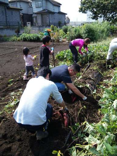 �Đl�`���߂񂿂�` �j���[�X