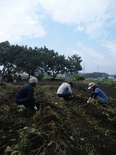 �Đl�`���߂񂿂�` �j���[�X