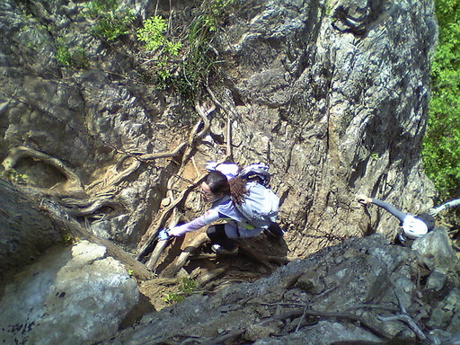 �Đl�`���߂񂿂�` �j���[�X