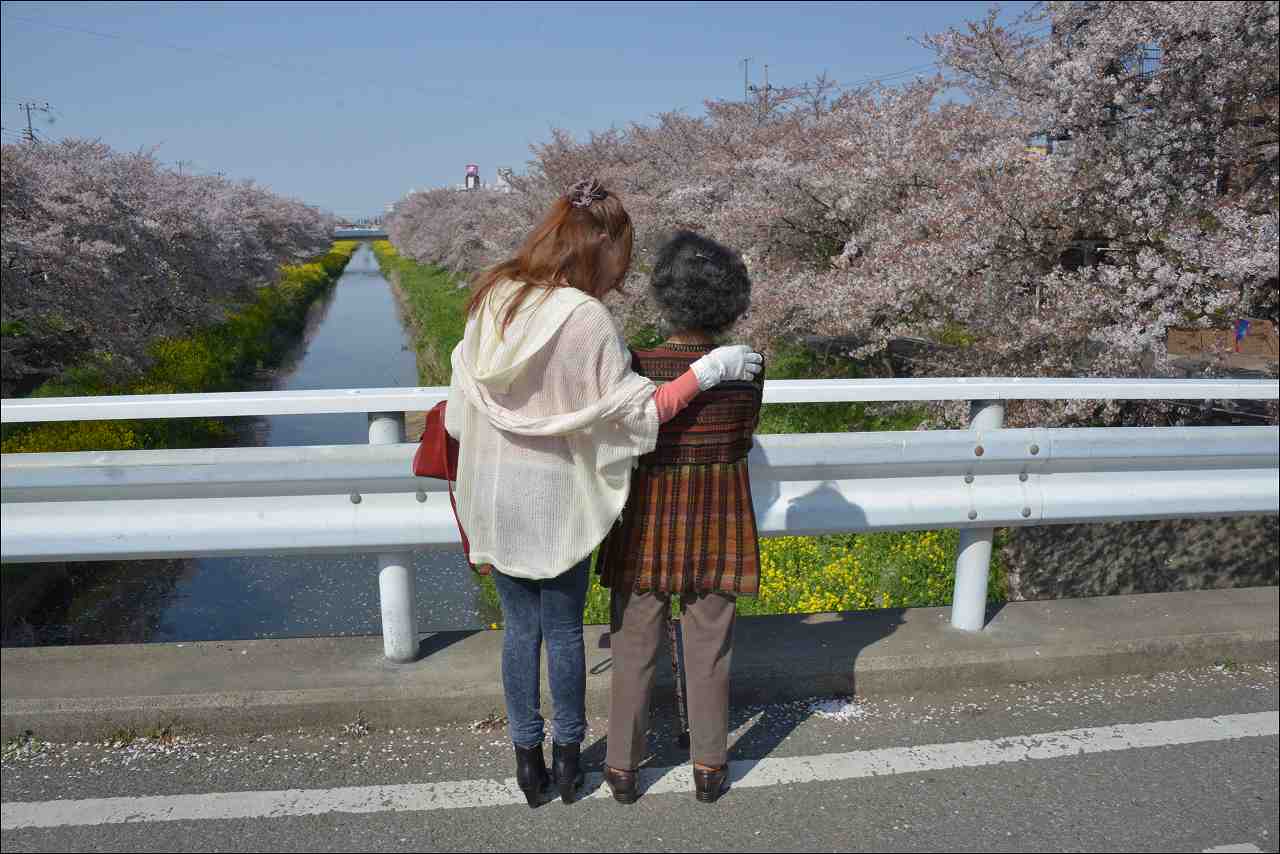 �Ꮼ�]�ː�z�̂Ԃ��U���i�ʐS�I�s�j��