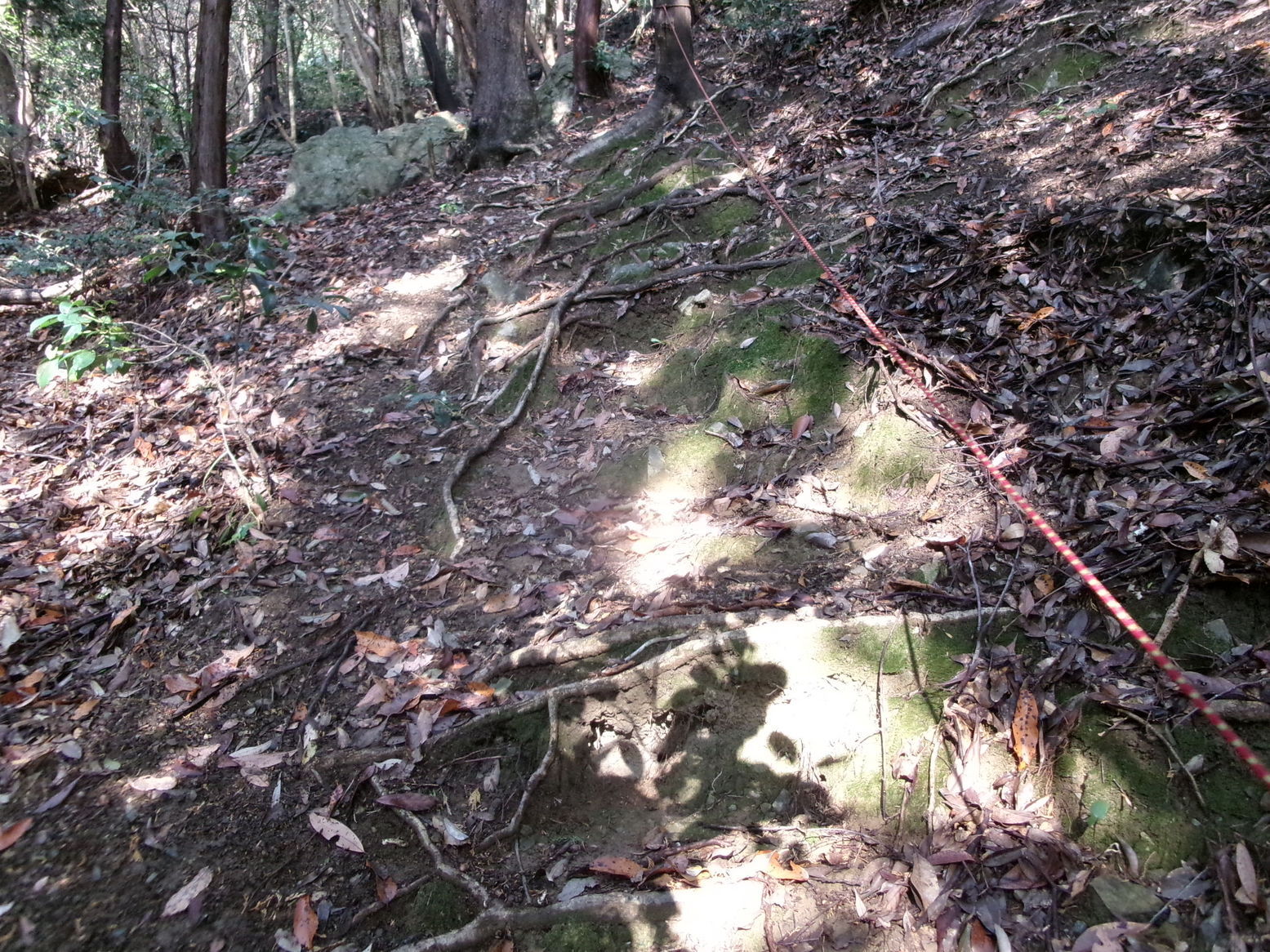 ���P�R�̎��R�i�j�Ə��j