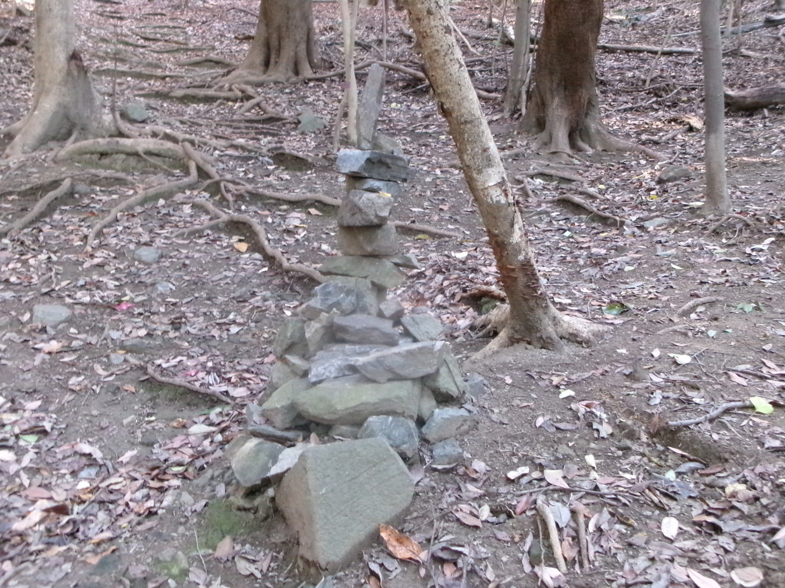 �R�����P�S�P�T��ځi�j�Ə��j