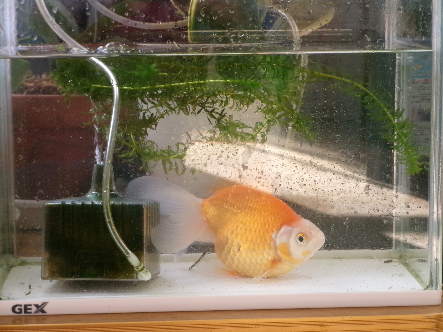 �������̑|���i�j�Ə��j