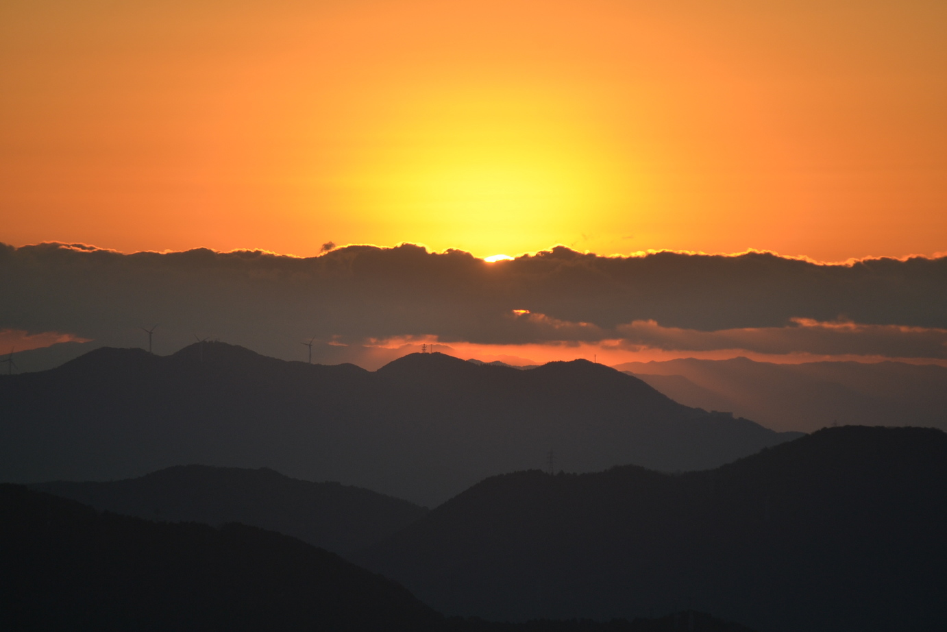 �����̏o�i�j�Ə��j