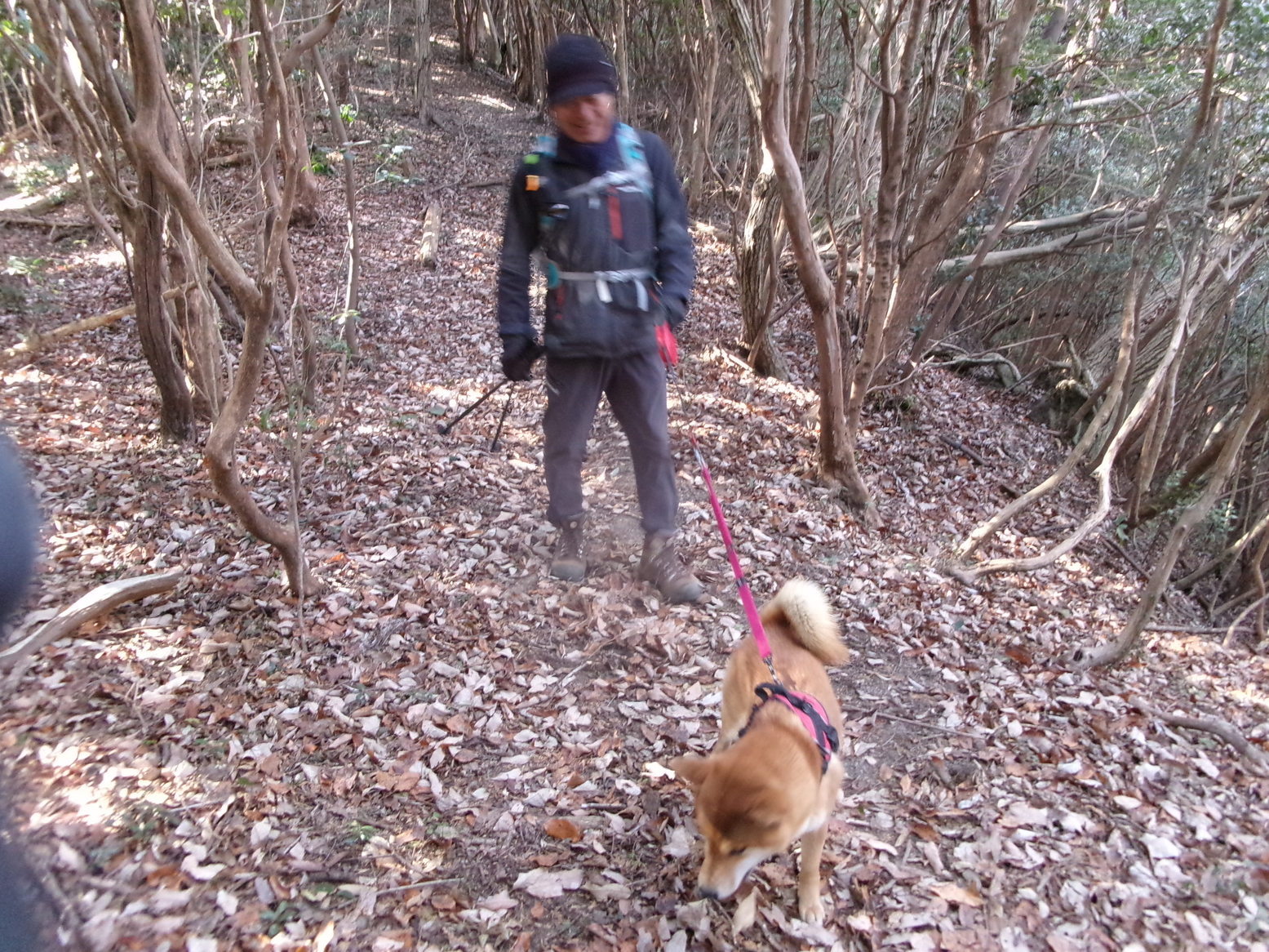 �R�����P�S�R�W��ځi�j�Ə��j